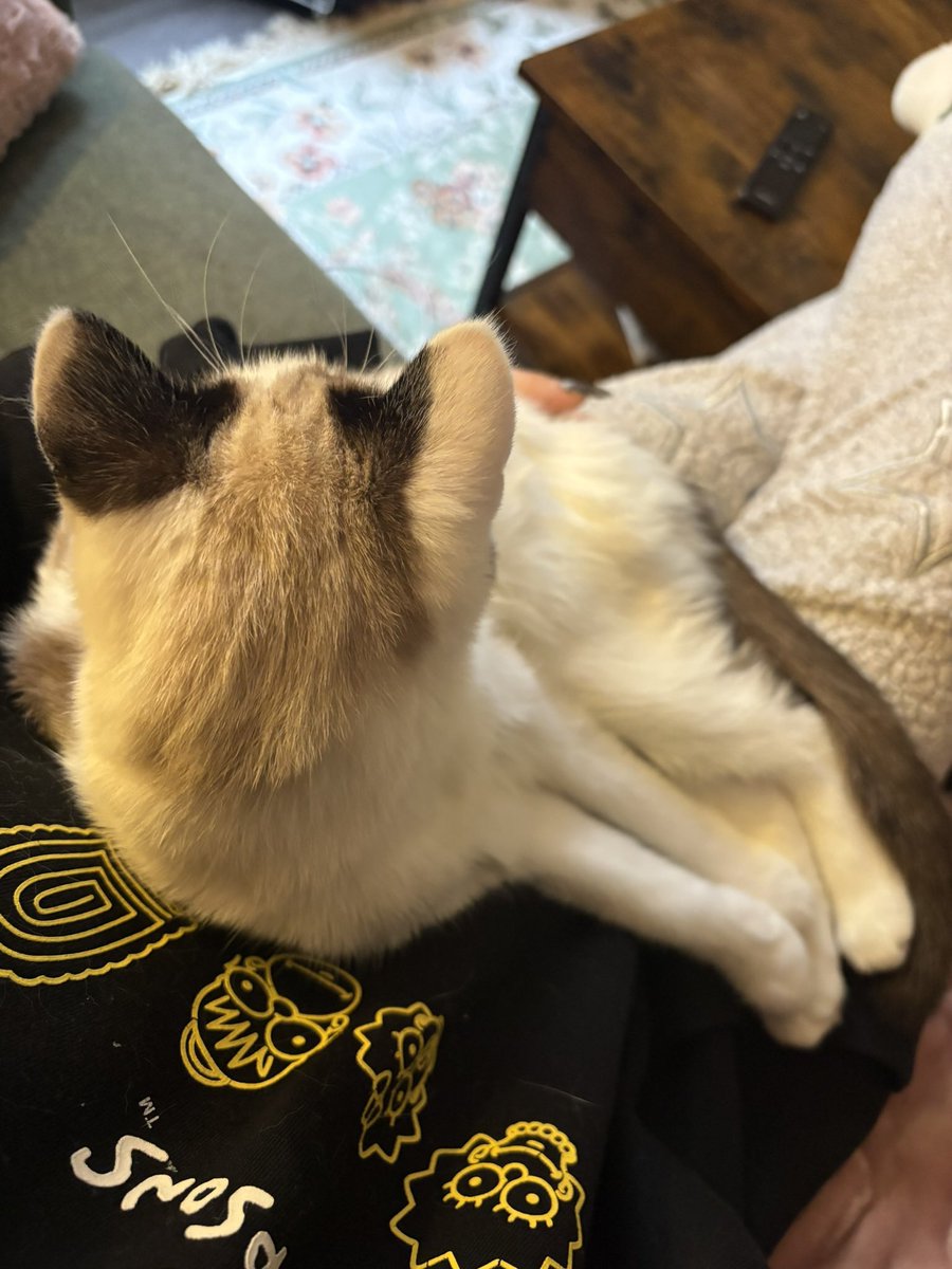 moïra ❀ tweet media