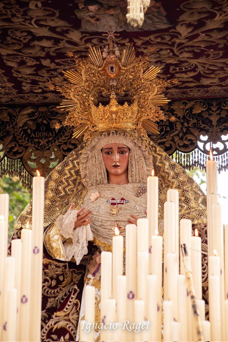 PURA CALLE CASTILLA

Estación de Penitencia de la <a href="/hermandaddelao/">Hermandad de La O</a> con <a href="/bandasol/">Banda del SôL</a> y <a href="/CarmenDSalteras/">El Carmen de Salteras</a>
⏩ elenfoquesacro.blogspot.com/2026/02/ss25-v…