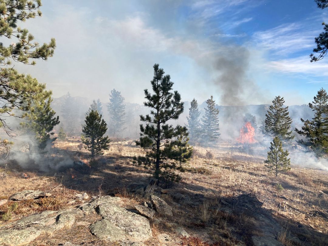 Forest Service, ARP tweet media