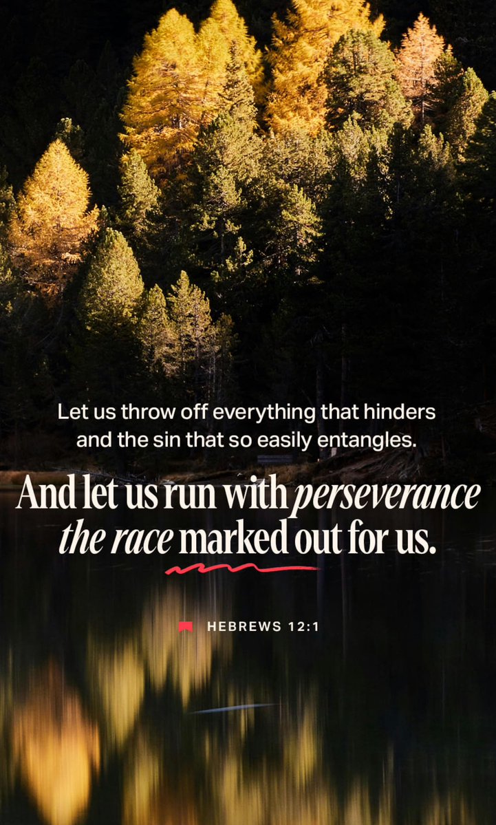 3️⃣6️⃣5️⃣➖3️⃣7️⃣
NOUVELLE JOURNÉE🍵🫀🎯🙌🏾🤲🏾
#GratitudeDaily #Février2026 

“Pa kite move moman fè w lage bliye gen yon BonDye ki konn Aji/sove/delivre.”
#Anpatik #ChwaziJezu #BonBèjea 
 #ToutGlwaPouBonDyeKreyatèa