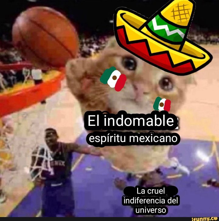 Ñe de Segunda tweet media