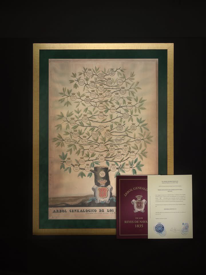 Editorial MINTZOA tweet media