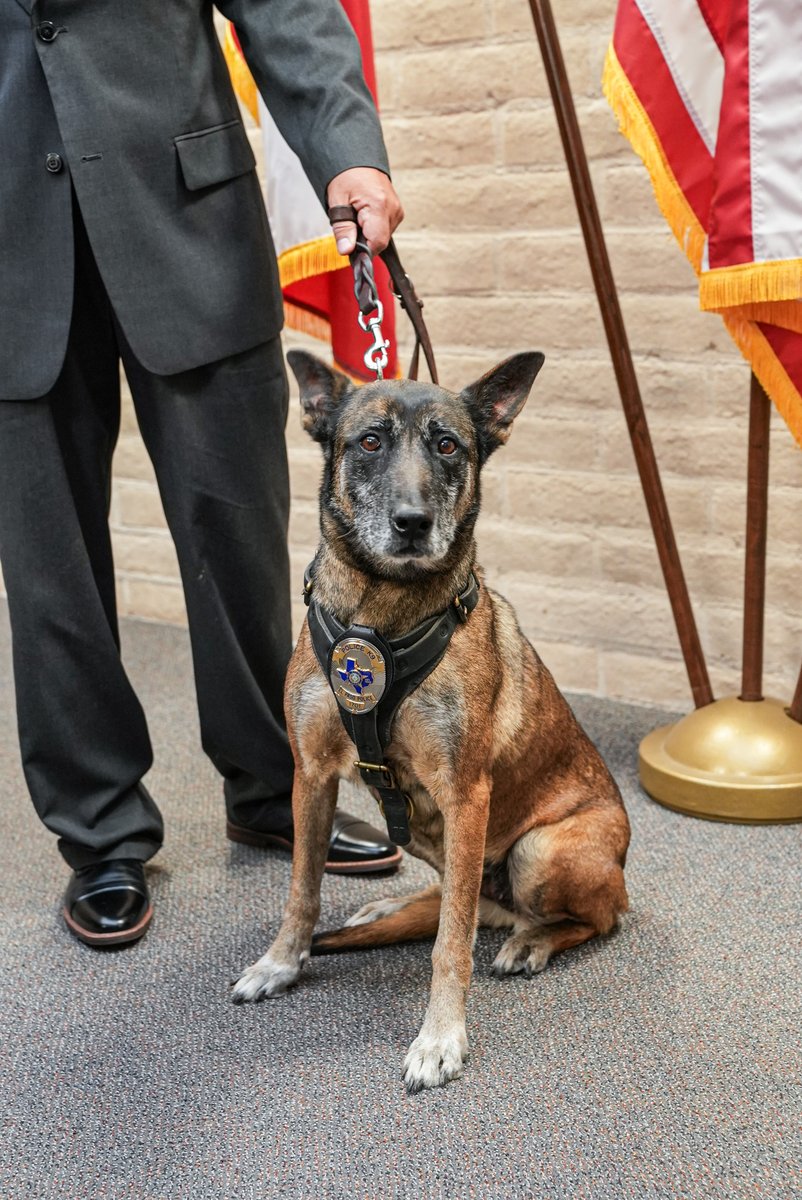 ONDCP's tweet photo. @SaraCarterDC #drugczar Honoring heroes: Officer Salvador Vargas & #K9 Layka retire after years of outstanding narcotics detection with the West Texas #HIDTA Task Force. Thank you for keeping communities safe—enjoy well-deserved rest! https://t.co/OvtL9zkb3u