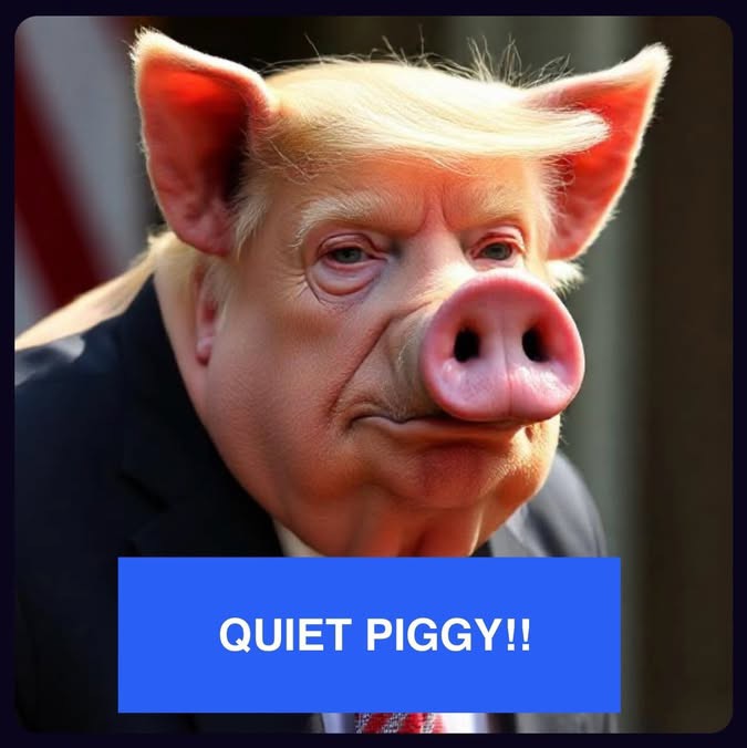 Jan Nelson♈️🌺🪷 tweet media