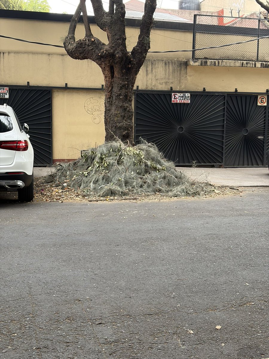 Oiga alcalde <a href="/LuisMendozaBJ/">Luis Mendoza Acevedo</a> y <a href="/AccionesBJ/">Acciones BJ</a> ¿para cuándo limpiarán el cochinero que dejaron en Col. Nativitas ahora que vinieron a podar los árboles? Ayer se cumplieron 2 semanas y ahí sigue el mugrero.

Esto es de Luisa y Elisa entre Fco.Fdz del Castillo y Refugio pero hay más.