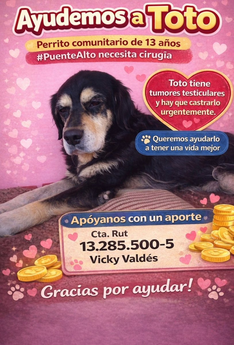 Caro_isa_V's tweet image. ¿Me ayudan a difundir?💕🐾🙏
Y se agradece a los que puedan aportar.

 #PuenteAlto
#PerritoSenior
#Toto