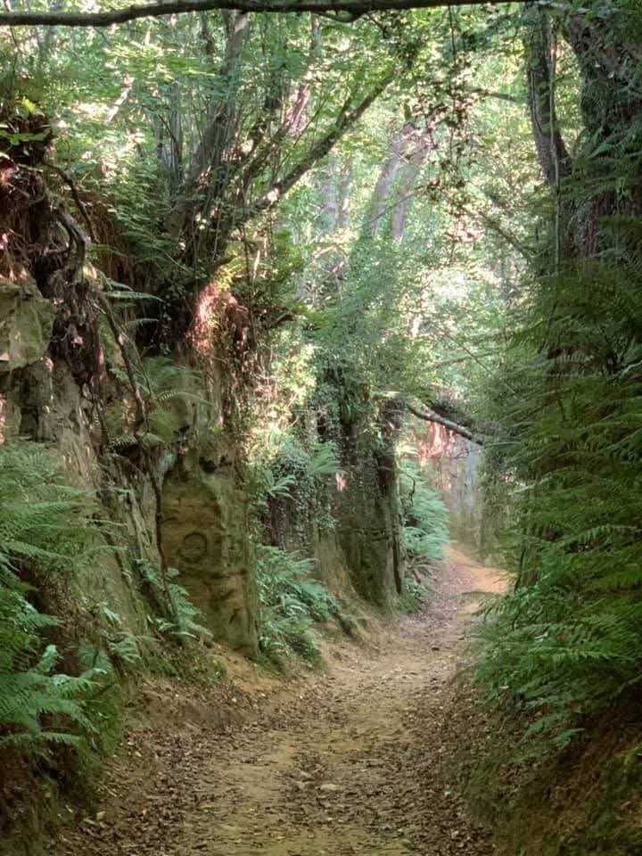 Hell Lane, also known as Shute’s Lane, at Symondsbury in Dorset 🇬🇧 is one of the deepest and best-preserved holloways in Britain, with its sandstone walls cut down to nearly 9 metres below the surrounding fields in places. 

The word holloway comes from Old English and simply