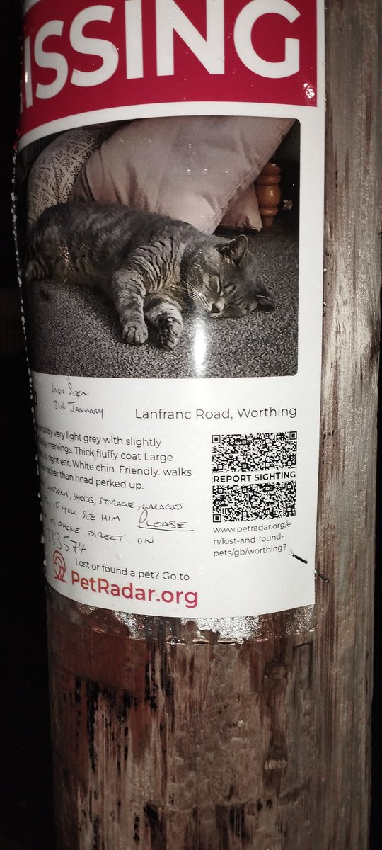 Flavia Hume (@flaviahume) on Twitter photo 