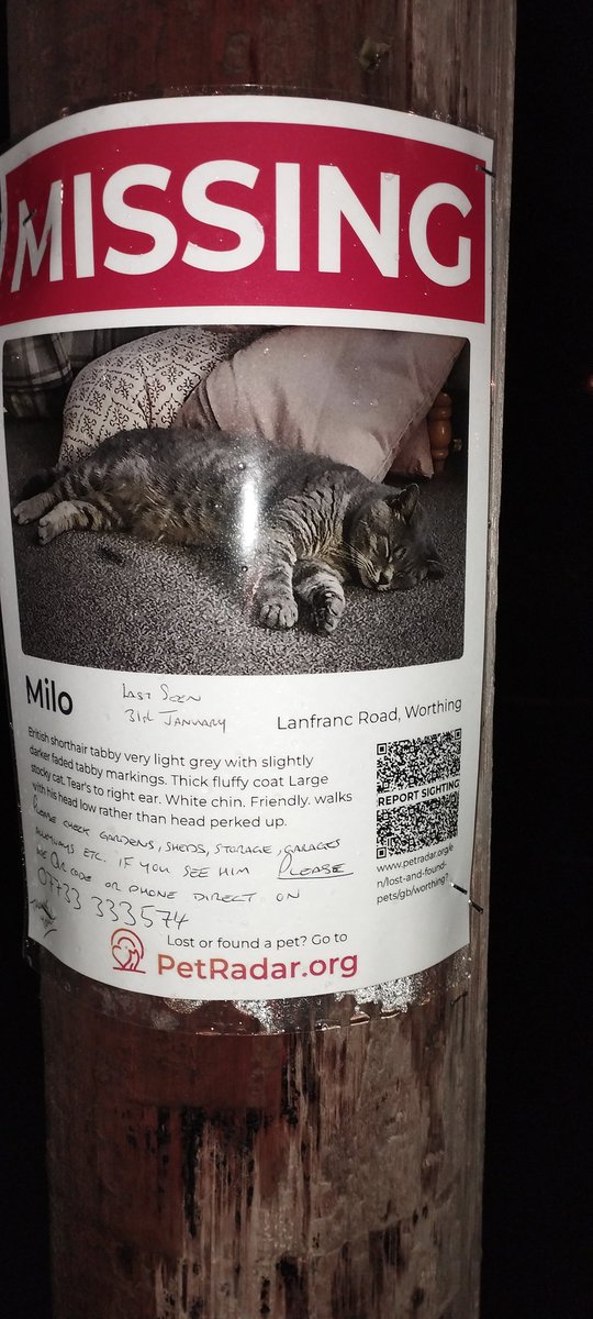 Flavia Hume (@flaviahume) on Twitter photo 