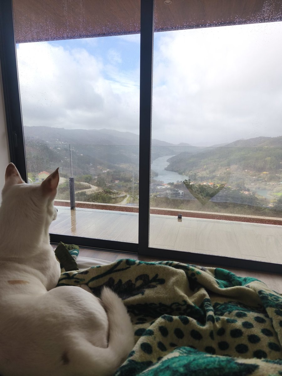 numabadd's tweet image. Somente agradecer por esses dias gostosos e tranquilos, como sempre, com minha mulher