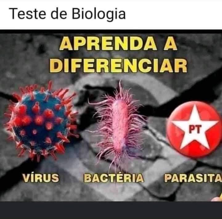 SAMIRA ALI BOTELHO tweet media