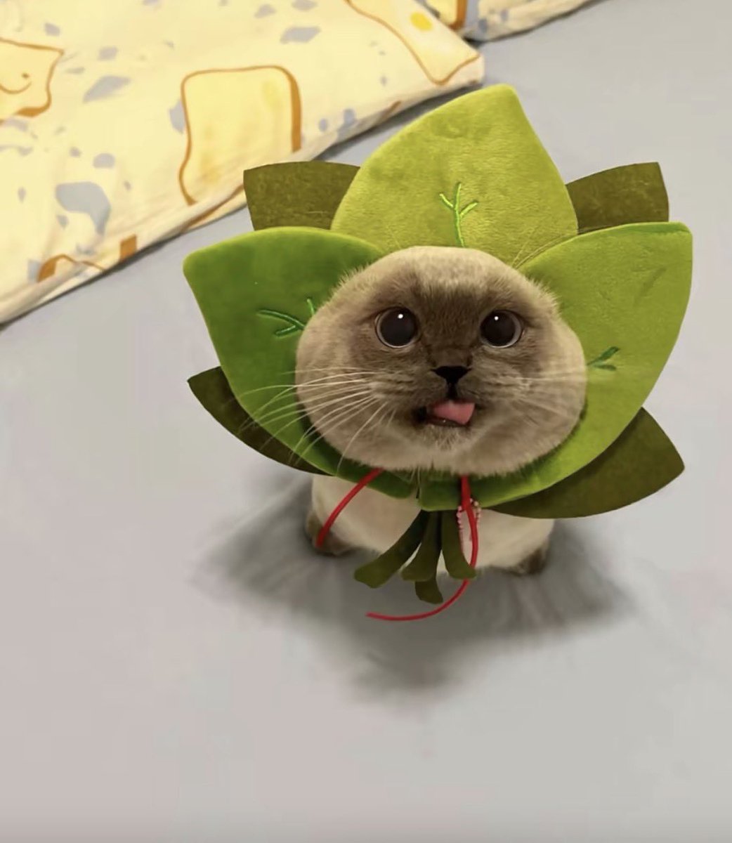 I am VERY interested to see where this leads