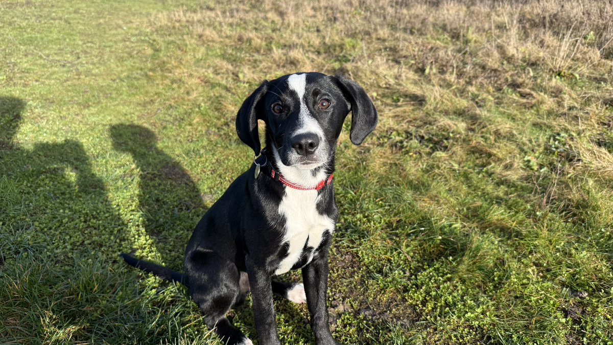 MerlinnotDesmo's tweet image. 5 months ago to now