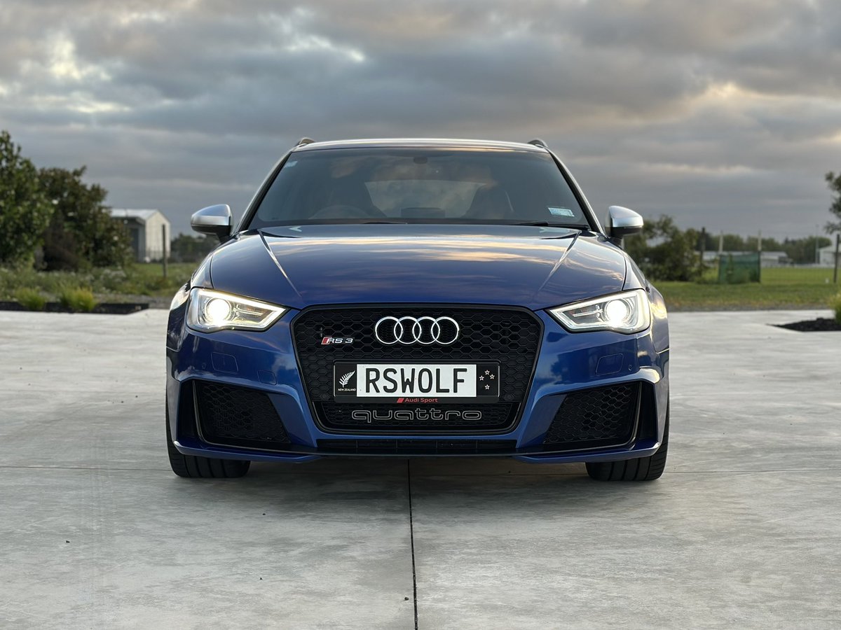 Bowie 🔜 FurDU tweet media