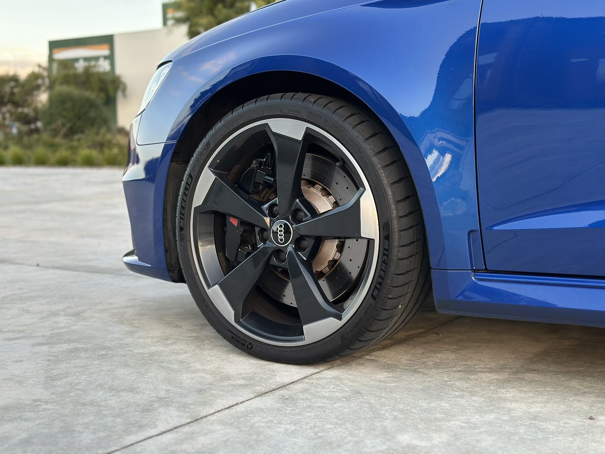 Bowie 🔜 FurDU tweet media