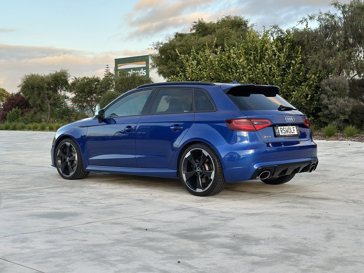 Bowie 🔜 FurDU tweet media