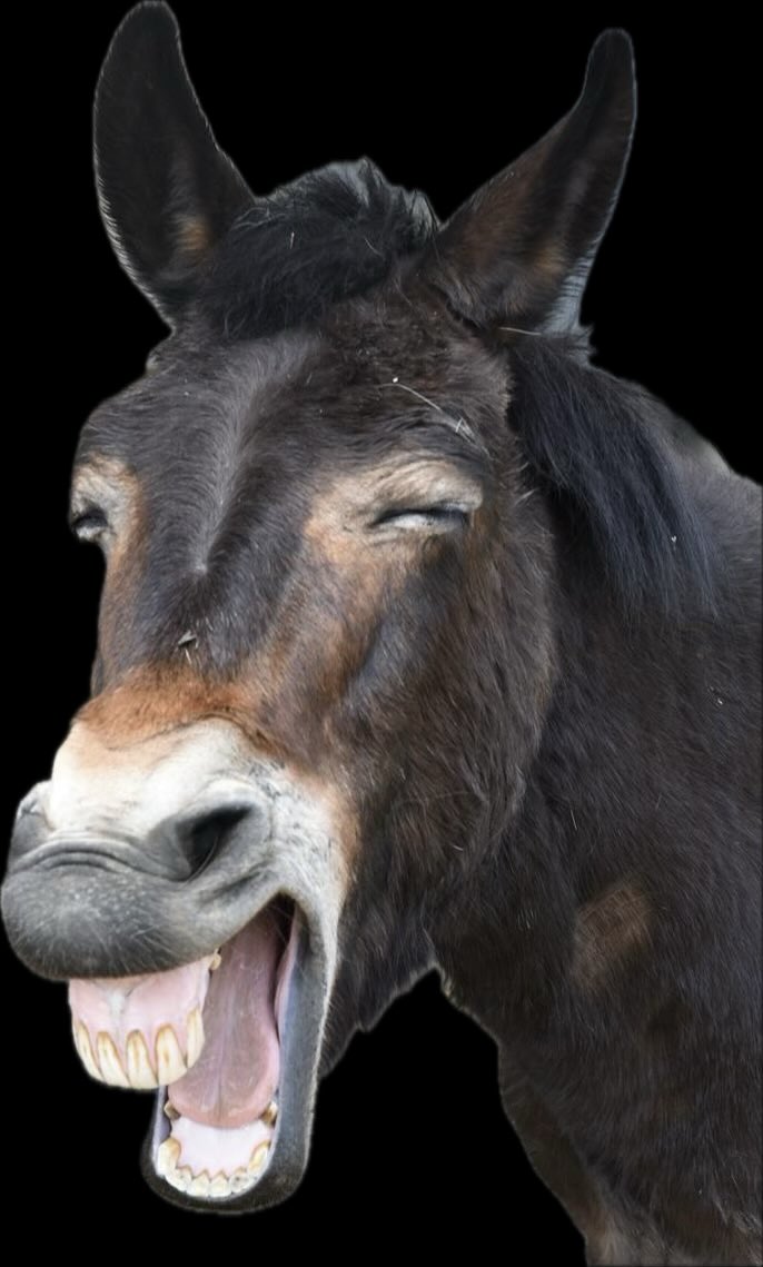 paul blair tweet media