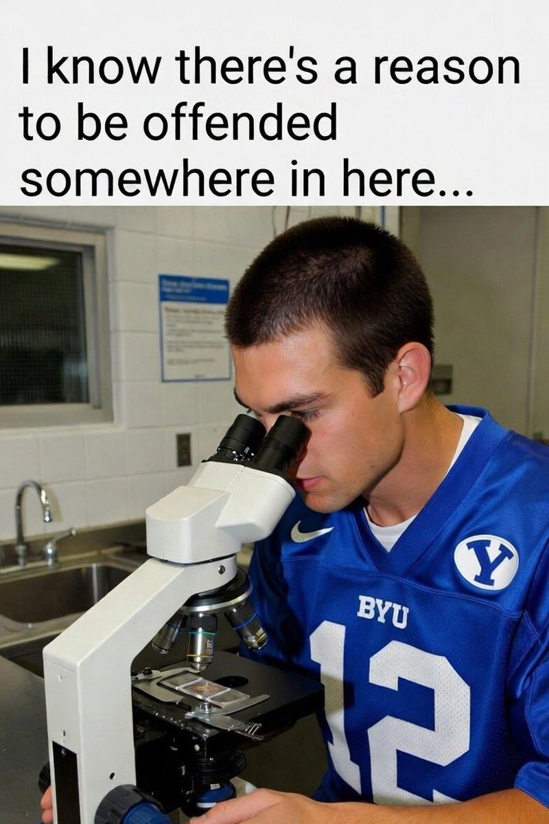 Utefull_tune tweet media