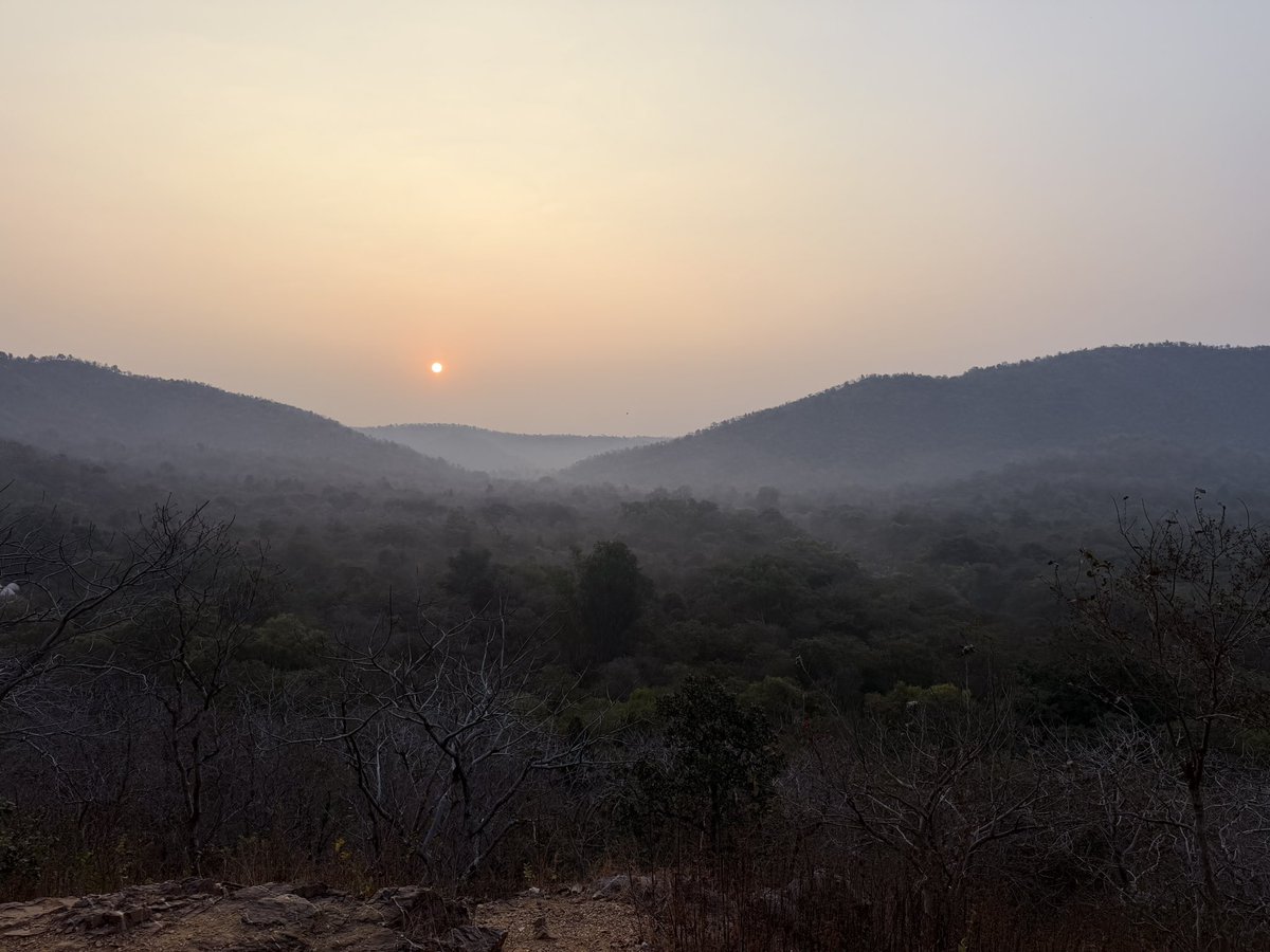 Freek Van der Herten tweet media