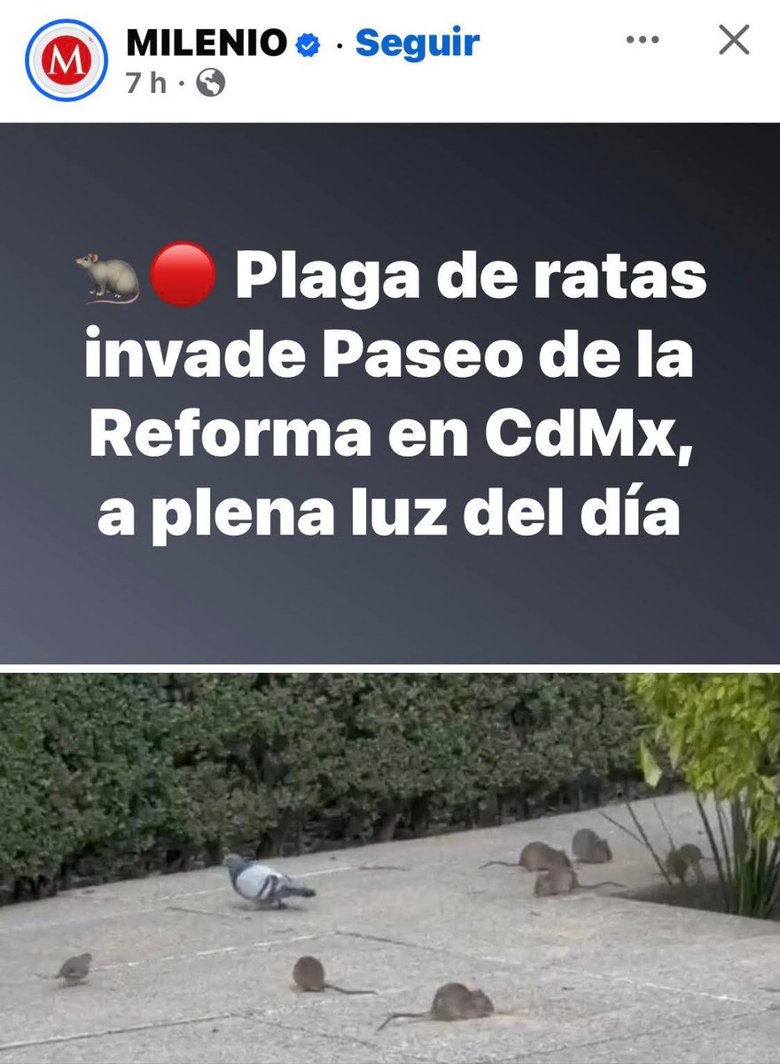 A chinga y yo pensando que era una marcha en apoyo a la presidenta.