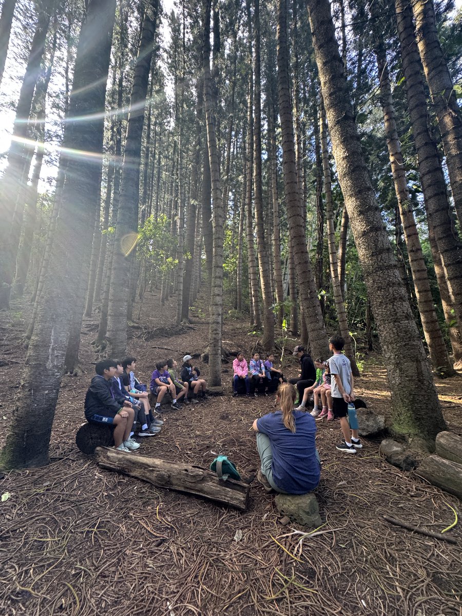 HMS Dolphins tweet media