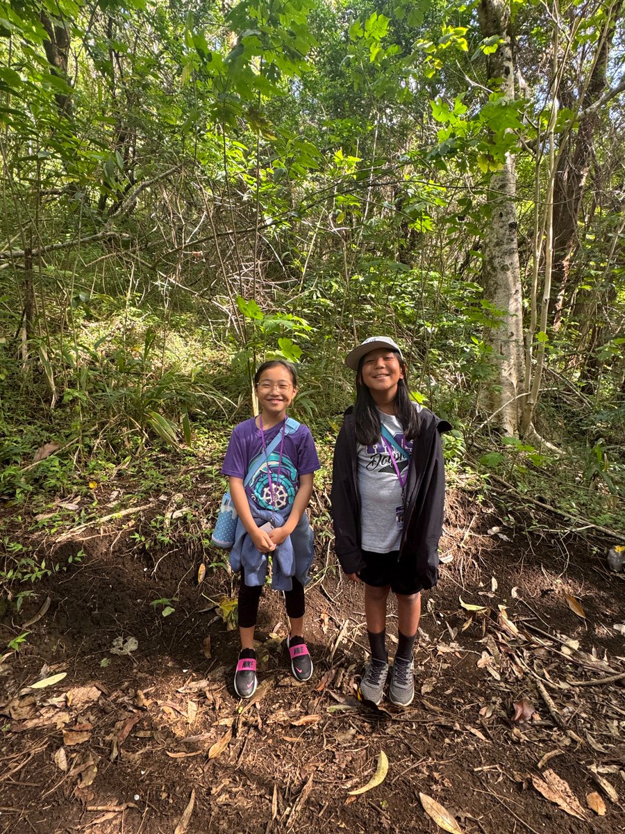 HMS Dolphins tweet media