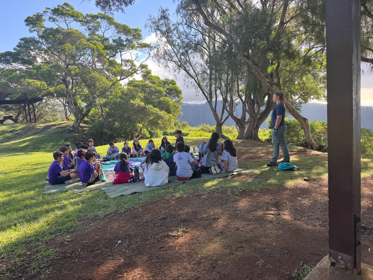 HMS Dolphins tweet media