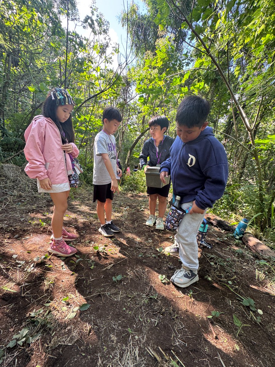 HMS Dolphins tweet media