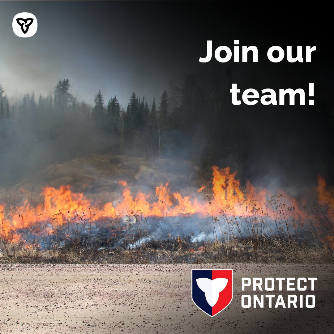 Ontario Forest Fires tweet media