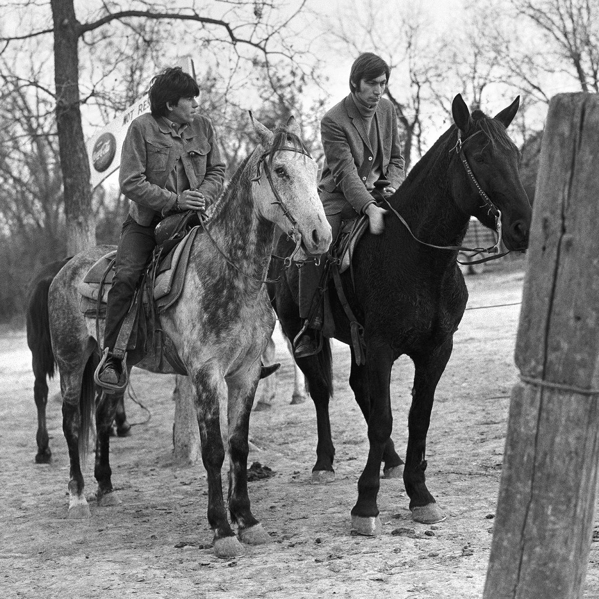 charlieboywatts's tweet image. Charlie would definitely approve of Year Of The Horse! Happy Lunar New Year