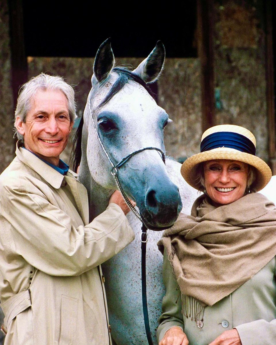 charlieboywatts's tweet image. Charlie would definitely approve of Year Of The Horse! Happy Lunar New Year