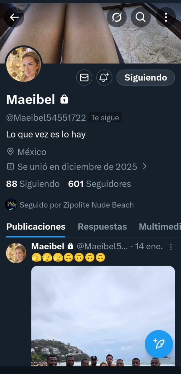 SandrayRaul tweet media