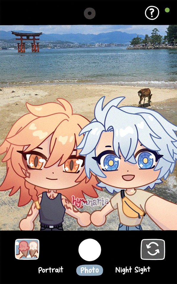 a dumpling tweet media