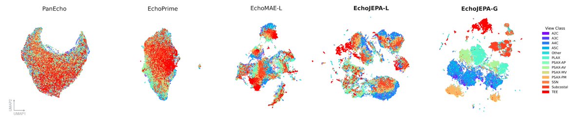 Alif Munim (d/acc) tweet media