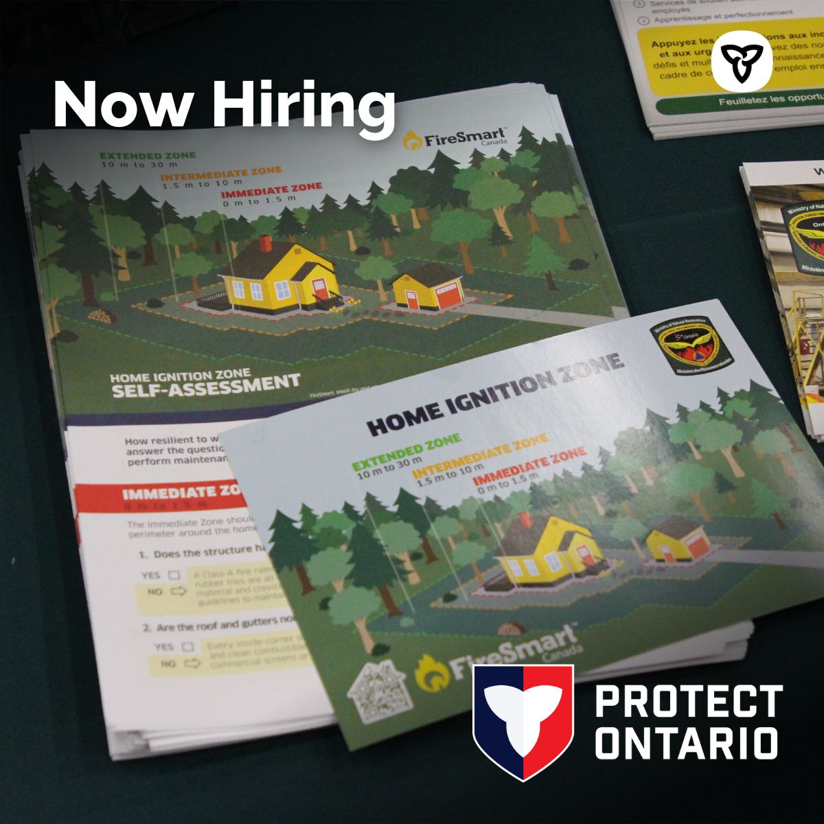 Ontario Forest Fires tweet media