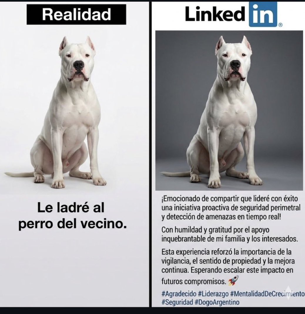 Hasta firulais entendió que todo es un circo