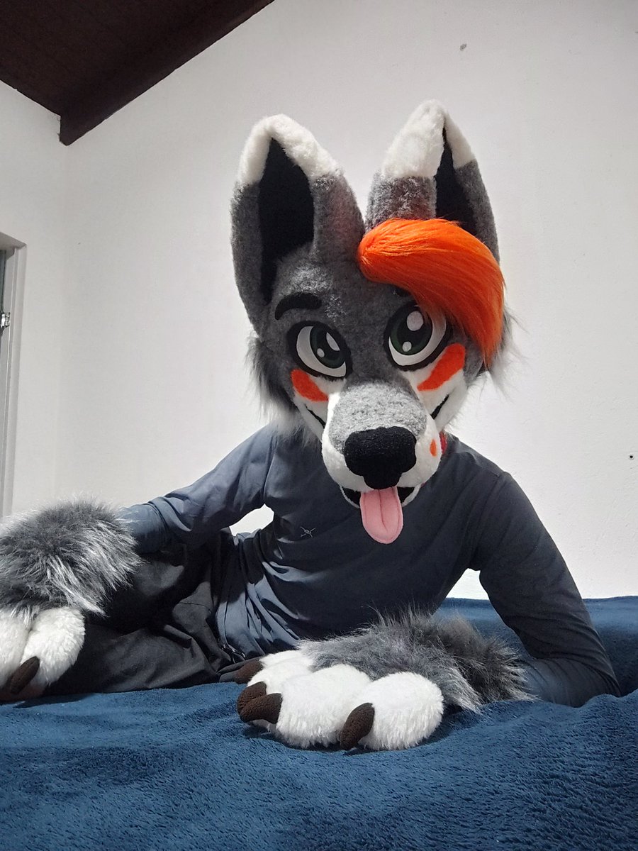 Fisake Wolf tweet media