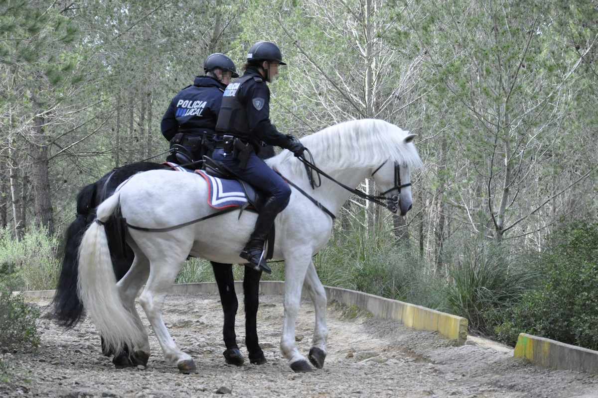 👮‍♀️🐴 Més de 1.500 alumnes de 28 centres varen visitar la Secció Muntada el 2025.

Els escolars aprenen sobre la cura dels cavalls i la tasca policial de proximitat.