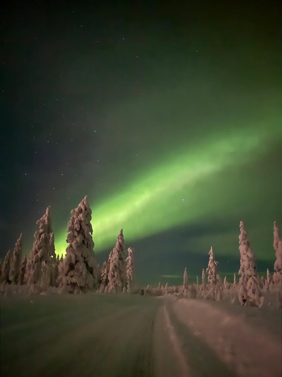 Mathieu Orphanides tweet media