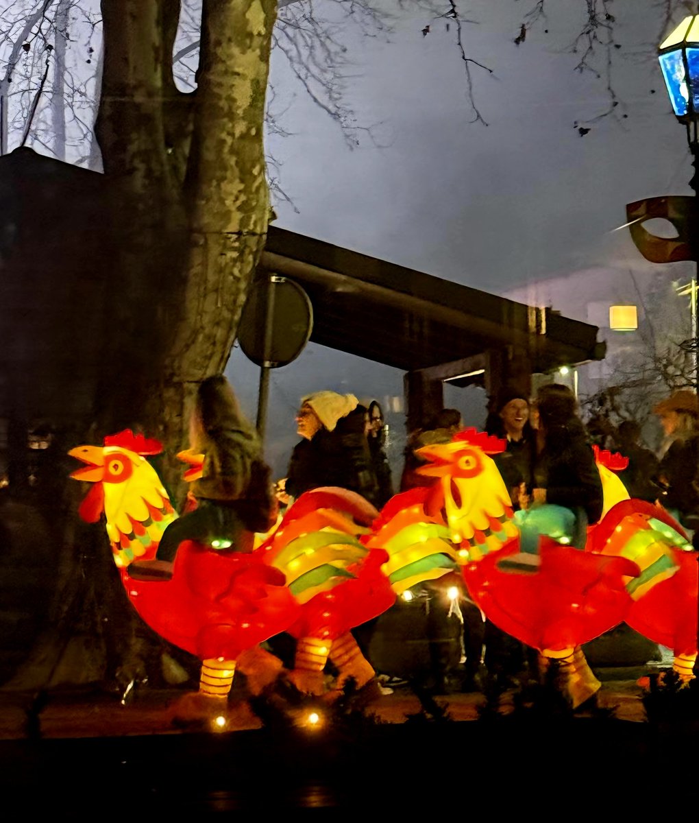 chiknskull's tweet photo. Carnival in Croatia be like @chikn_nft and $COQ. There's a hidden message in there, I think. https://t.co/96PqlpIqt1