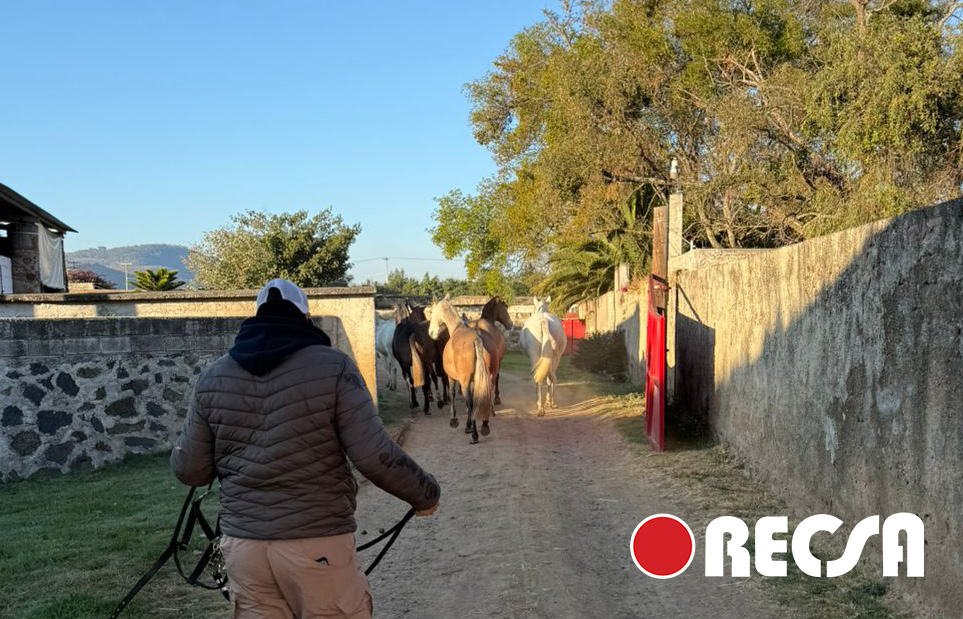 🐎 El Rancho El Junco es un lugar donde el trabajo, la tierra y la tradición se encuentran todos los días.

Este proyecto representa identidad, constancia y amor por lo que se cultiva y se cría. Es un orgullo ver cómo el esfuerzo diario se traduce en calidad, legado y en un