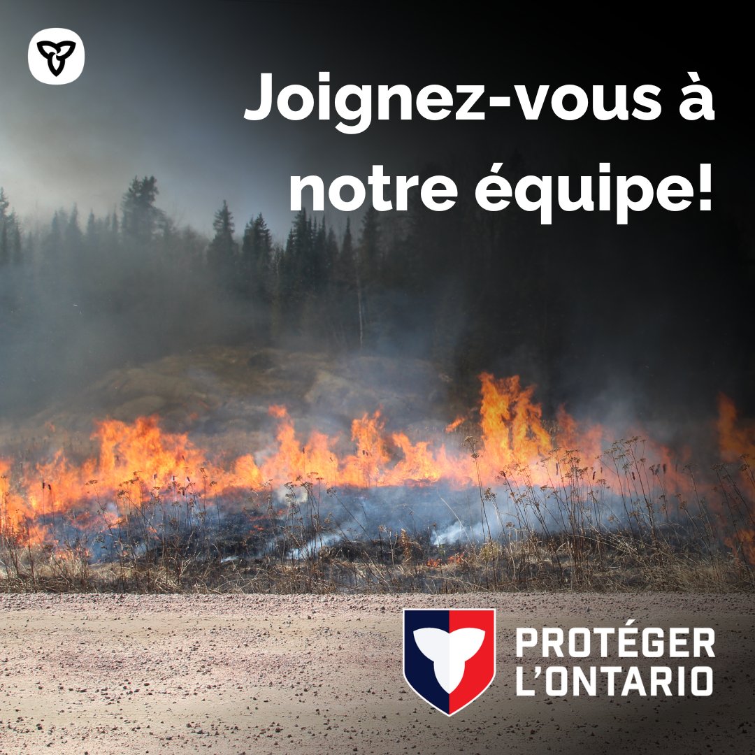 Nous embauchons un stagiaire, prévention et brûlages dirigés à Peterborough!
Contribuez à des initiatives qui favorisent la gestion durable des ressources naturelles de l’Ontario et renforcent la prévention des feux de forêt.
Postulez d’ici le 27 février. gojobs.gov.on.ca/Preview.aspx?L…