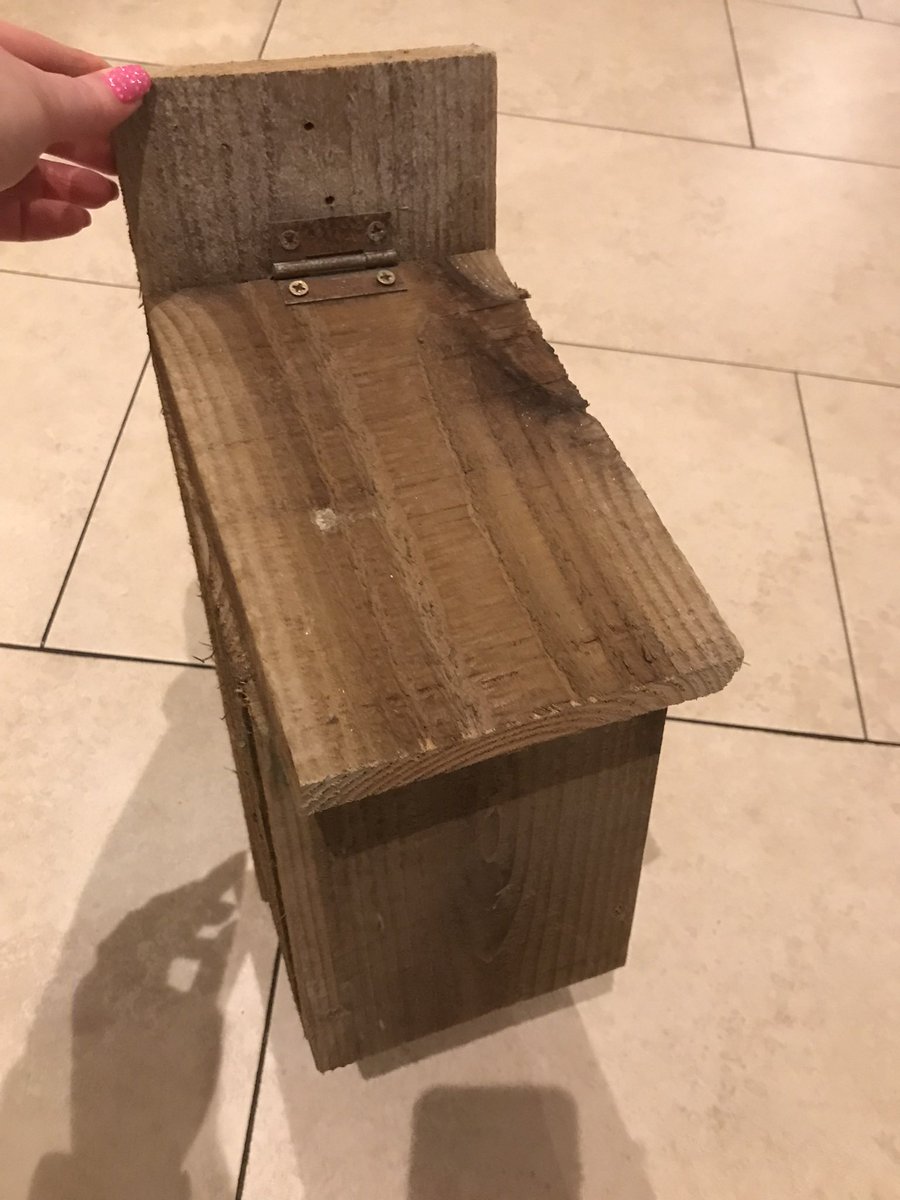 killannedev's tweet photo. A little project that might interest some younger members of our community….we’d love you to help us paint some Bat &amp; Bird boxes! 
Please get in contact if you would like one! https://t.co/ZvTnfMjIU6
