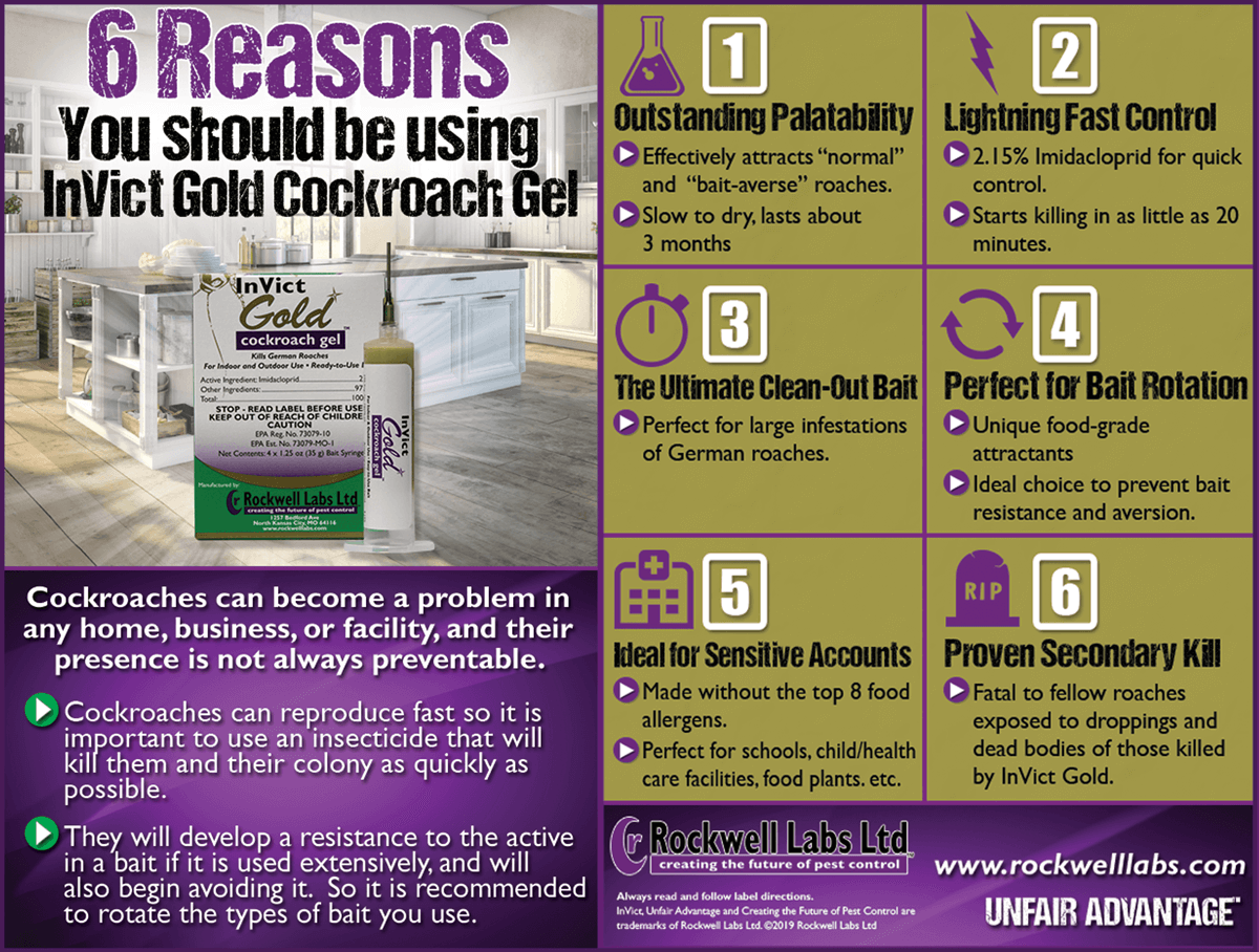 Cockroaches can become a problem in any home, business, or facility, and their presence is not always preventable. Check out these 6 reasons why you should be using InVict Gold Cockroach Gel. tinyurl.com/2pswf6am  #RockwellLabs #UnfairAdvantage