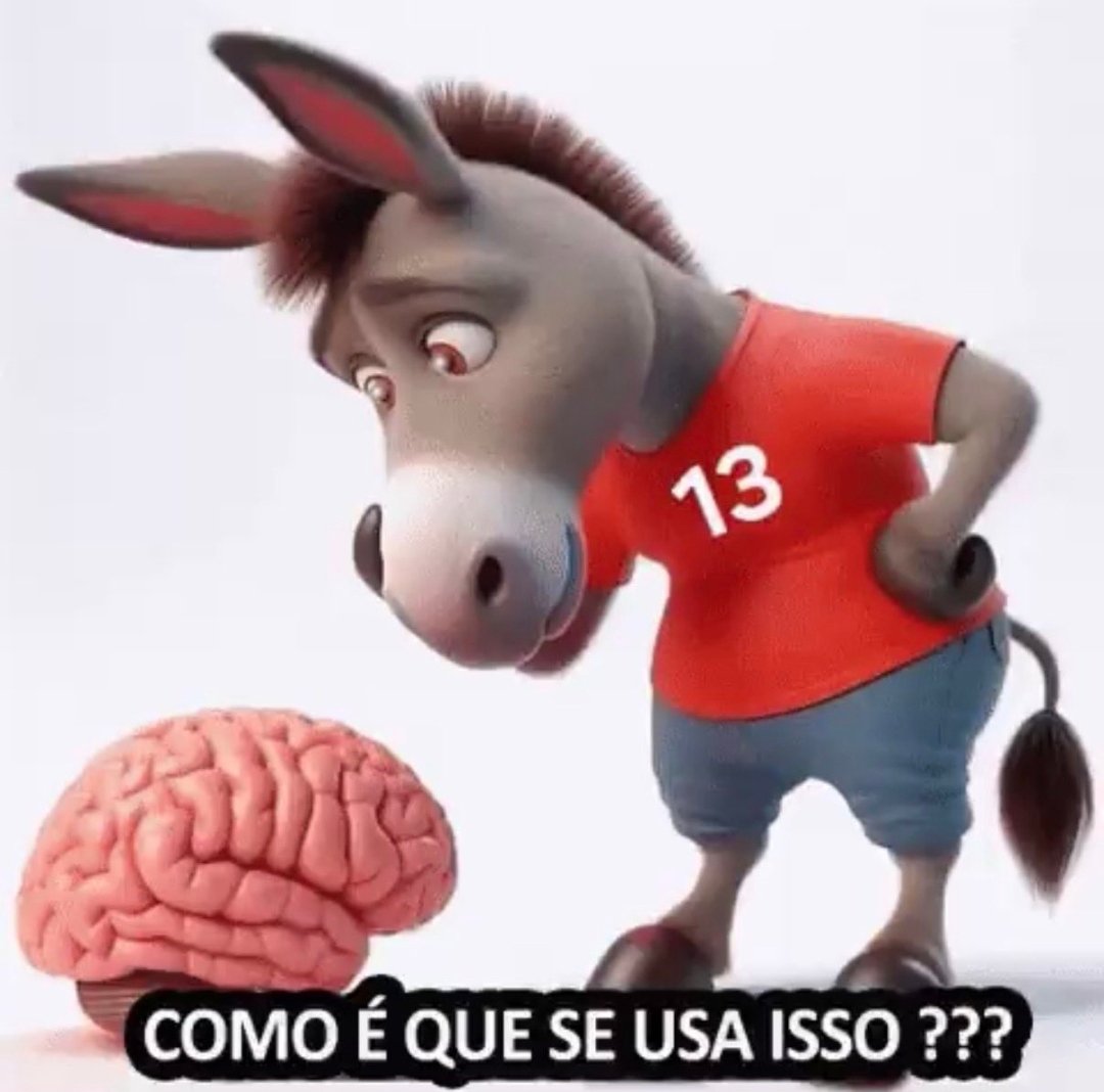 Lucia Chueire tweet media