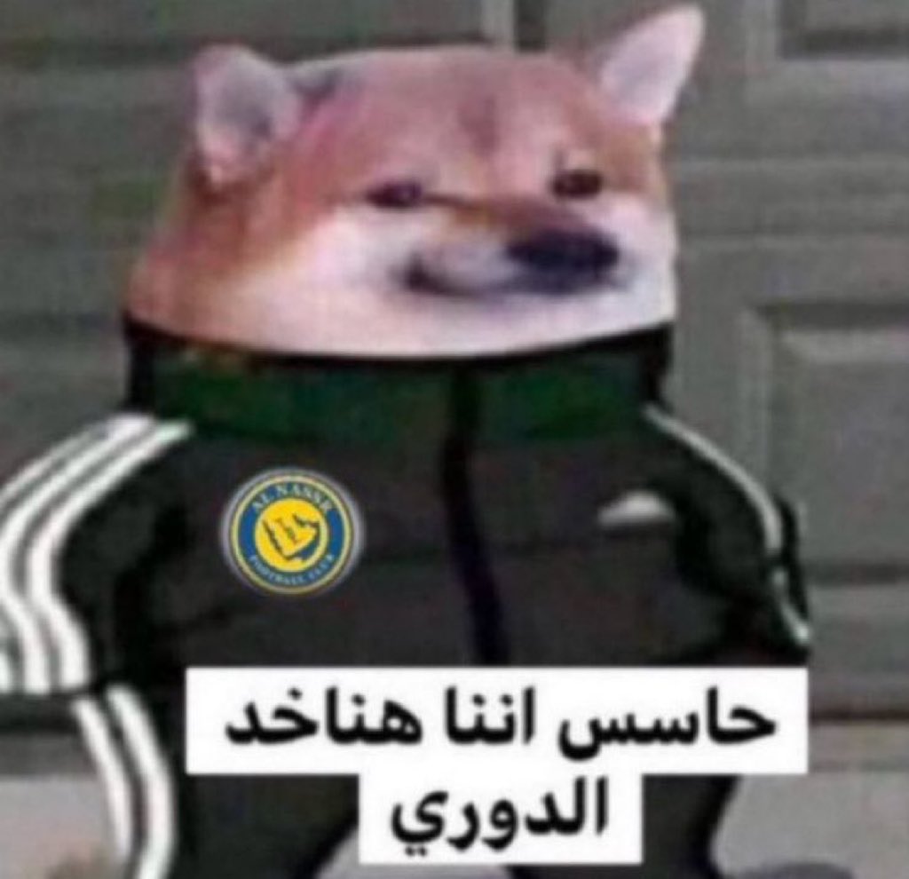 لا ولد tweet media