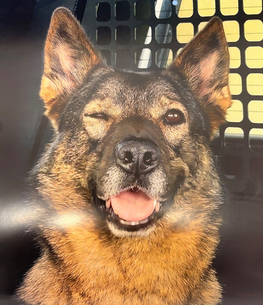 TSA Southeast tweet media