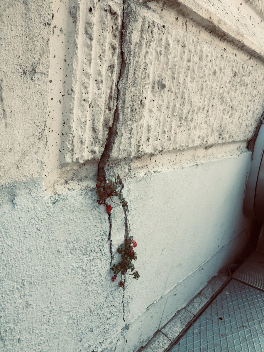 Bazı yerler ve bazı kitaplar ben de böyle umut yeşertiyor.