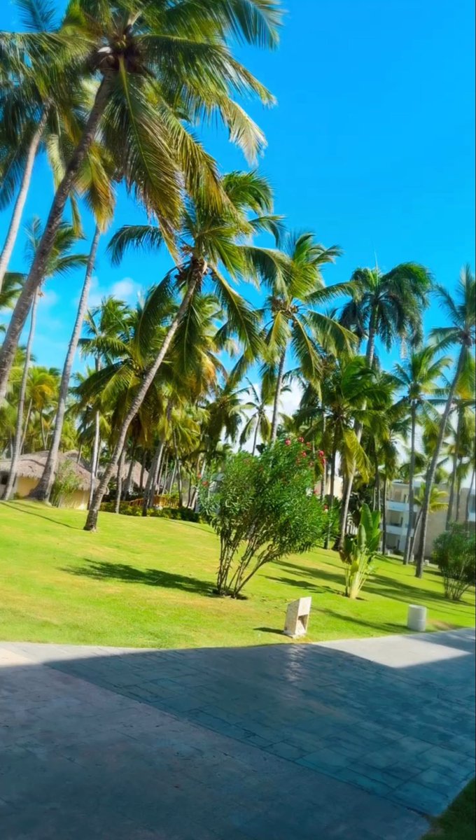 𝓒𝓸𝓬𝓸 𝓒𝓱𝓪𝓷𝓮𝓵 ✨ tweet media