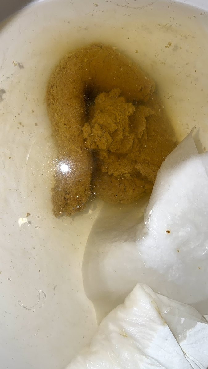 Scat Boy (2.7k followers) tweet media